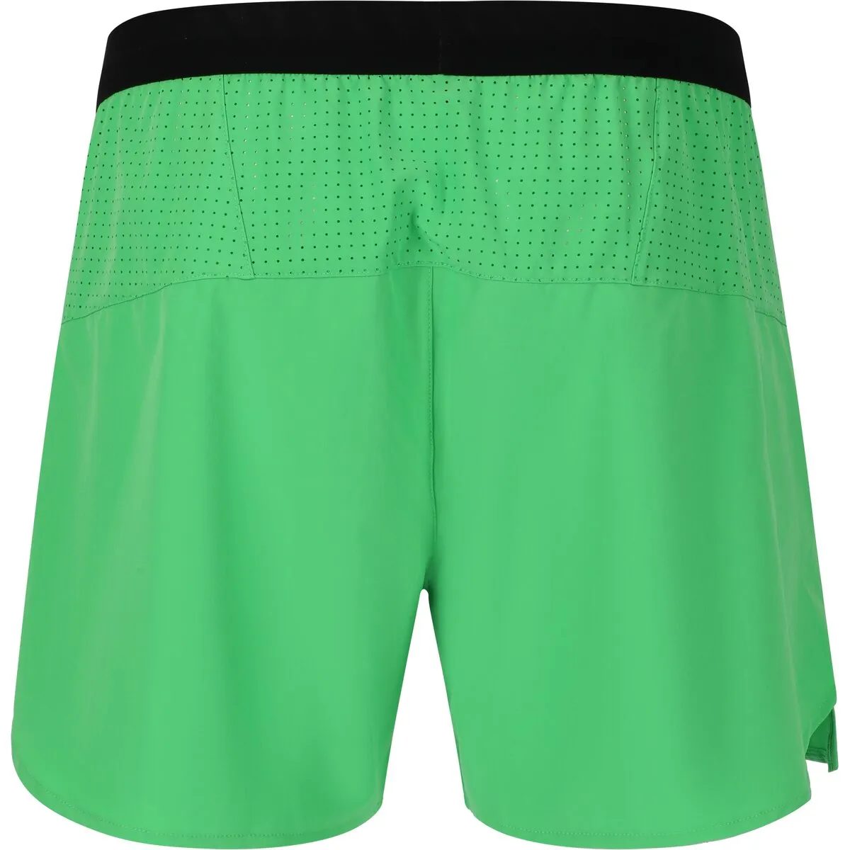 Letic M Shorts