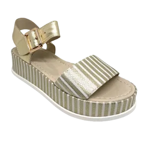 Wilburt  -  Gold stripe