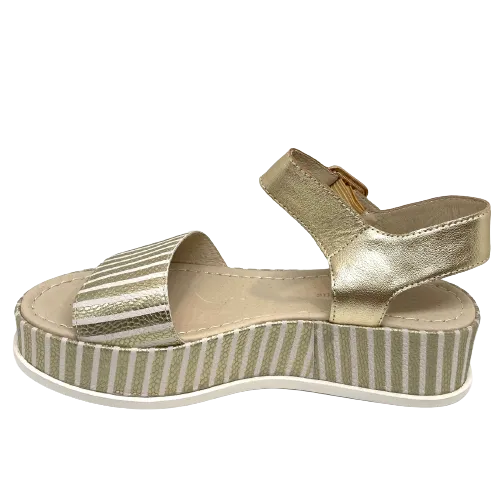Wilburt  -  Gold stripe